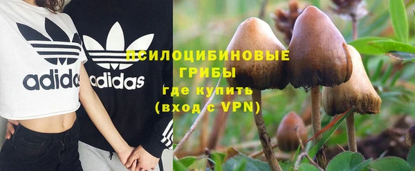 прущие крисы Алексин
