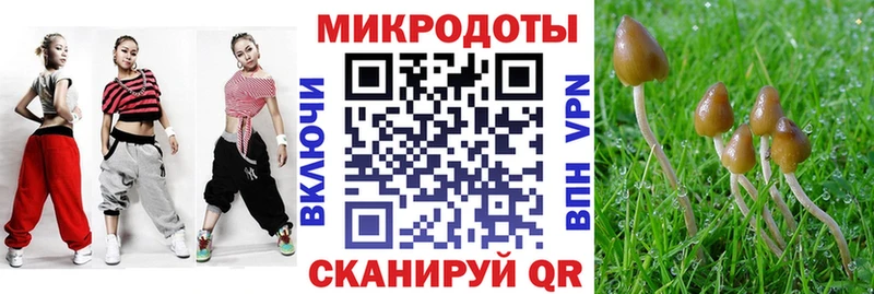 Псилоцибиновые грибы MAGIC MUSHROOMS  omg ссылка  Межгорье 