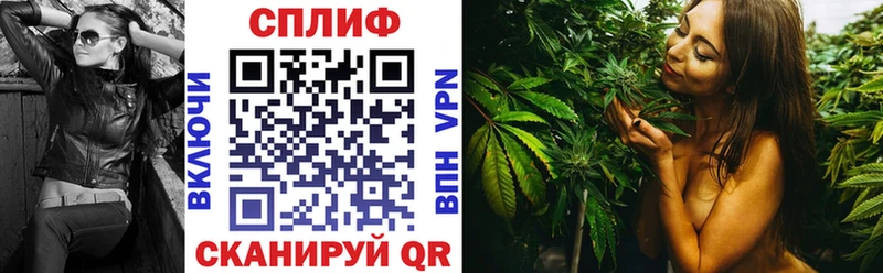 Бошки Шишки THC 21% Межгорье